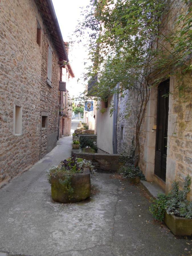 7 Rue Droite Villa Saint-Antonin Bagian luar foto
